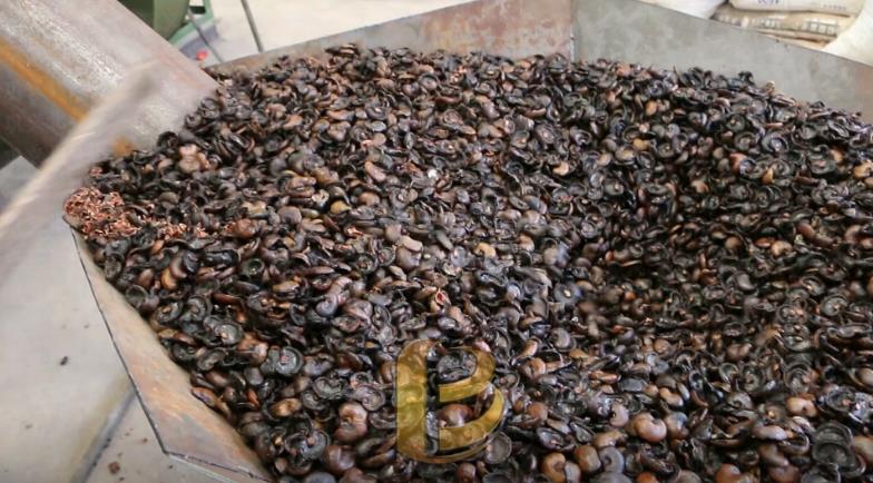 腰果壳和山核桃壳香蕉视频污版为绿色果壳炭